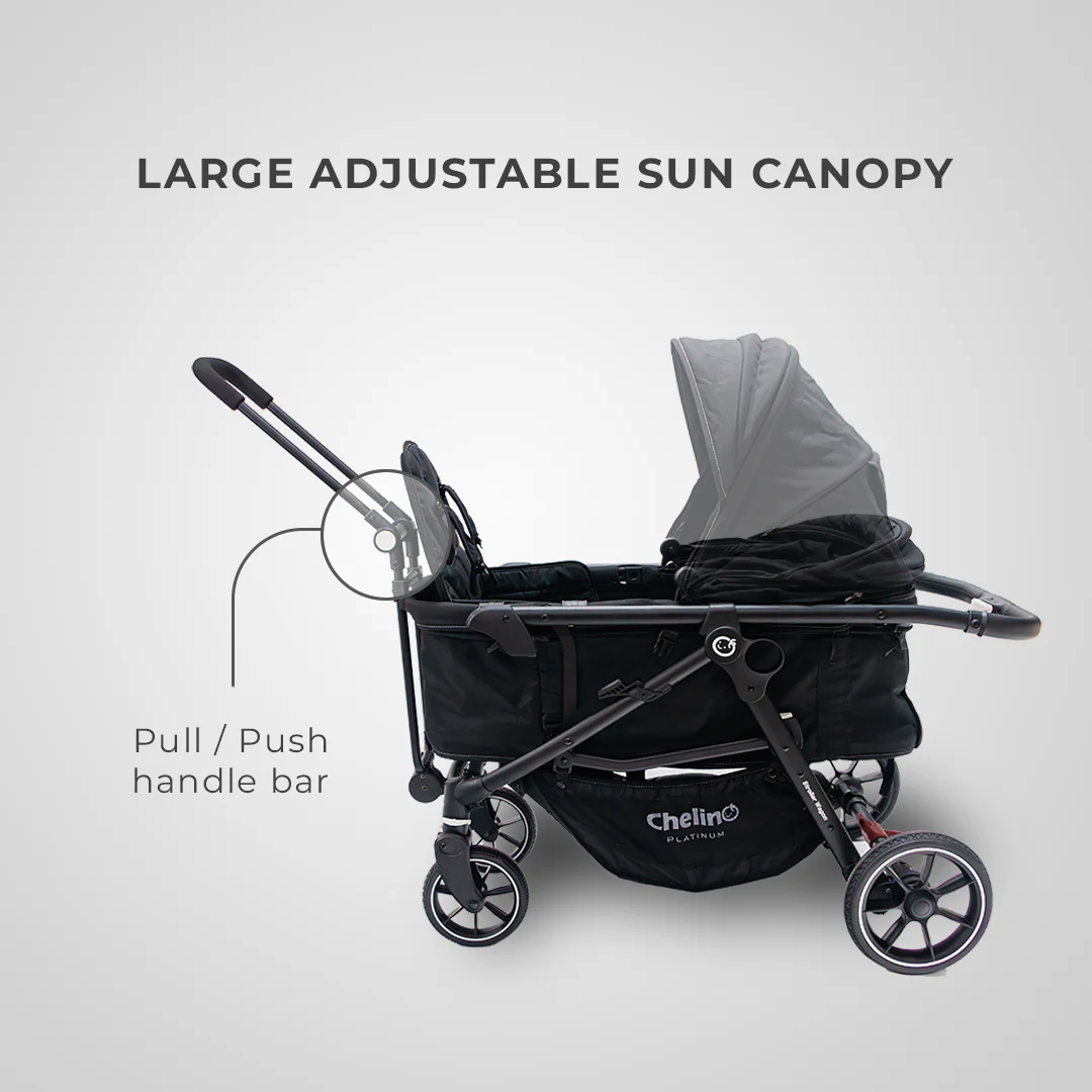 Switch 2 IN 1 Wagon Travel System - Image 10